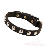 Leather Dog Collar with Silver Circles studded, 20mm