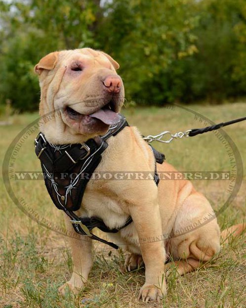 Shar-Pei Brustgeschirr K9