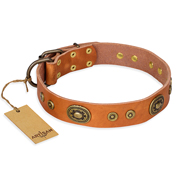 Designer Hundehalsband mit exklusiven Nieten FDT Artisan Designer Hundehalsband mit exklusiven Nieten FDT Artisan