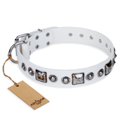 Weißes genietetes Hundehalsband "Lustre of Fame" FDT Artisan Weißes genietetes Hundehalsband "Lustre of Fame" FDT Artisan