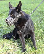 Dog Harness with Rivets for Shepherd