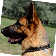 Dog Collar Spikes German Shepherd Superior