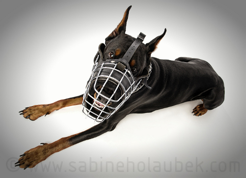 Wire dog muzzle for Doberman