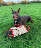 Bestseller Dog Bite Pad made of Jute with 3 handles