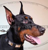 Hundehalsband Leder für Dobermann