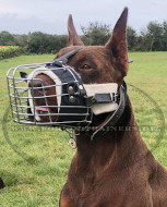 Wire Dog Muzzle for German Shepherd | Malinois Dog Muzzle