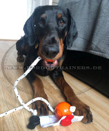 Top-Matic Mini Fun Ball und MAXI Power-Clip Set für Dobermann Training