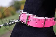 Attraktives Pink Lederhalsband mit Spikes für Dobermann Attraktives Pink Lederhalsband mit Spikes für Dobermann