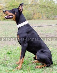 Elegantes Lederhalsband Dobermann Elegantes Lederhalsband Dobermann