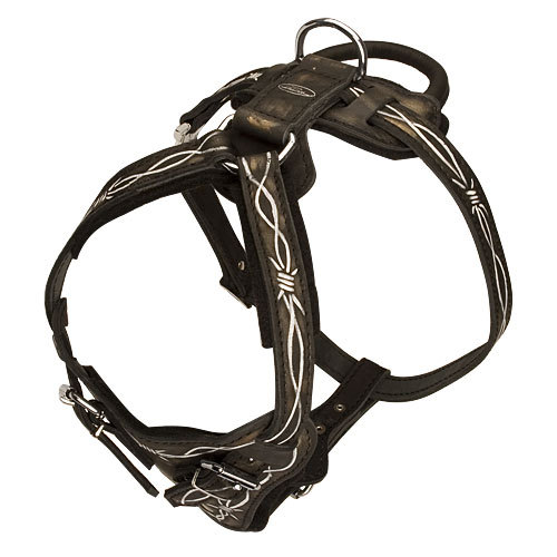 harness with handle