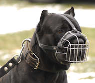 Wire Basket Dog Muzzle for Cane Corso - Click Image to Close