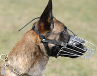 Wire Basket Dog Muzzle for Belgian Malinois