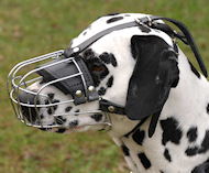 Wire Basket Dog Muzzle for Dalmatian