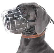 Wire Basket Muzzle for Great Dane | Extra Large Cage Dog Muzzle