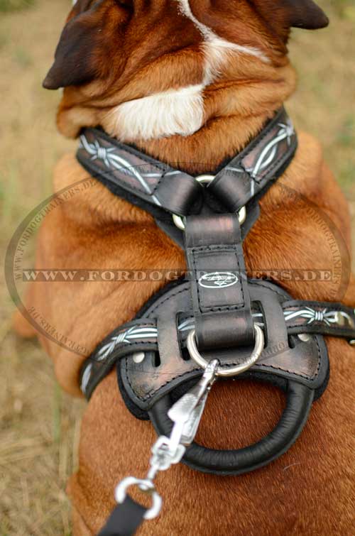 Walking Dog Harness for English Bulldog with Handle 