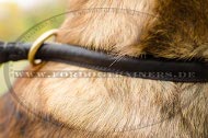 Effizientes Malinois Erziehungshalsband | Lederhalsband Bequem Effizientes Malinois Erziehungshalsband | Lederhalsband Bequem