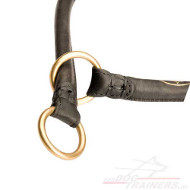 Erziehung Halsband Leder für Hundeausbildung und Hundeerziehun Erziehung Halsband Leder für Hundeausbildung und Hundeerziehun