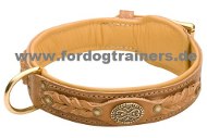 /images/Exklusives-Design-Hundehalsband.jpg