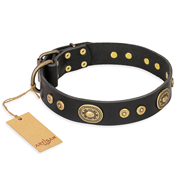 Exklusives Hundehalsband aus Leder "Golden Radiance" FDT Artisan