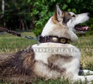 Vintage Leather Collar for West Siberian Laika