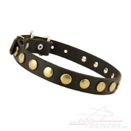 Leather Dog Collar with Small Circles, 1 inch wide