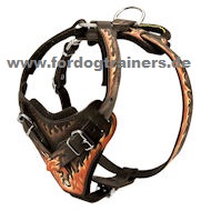 Dog Harness in Flame Style | Painted Design Harness