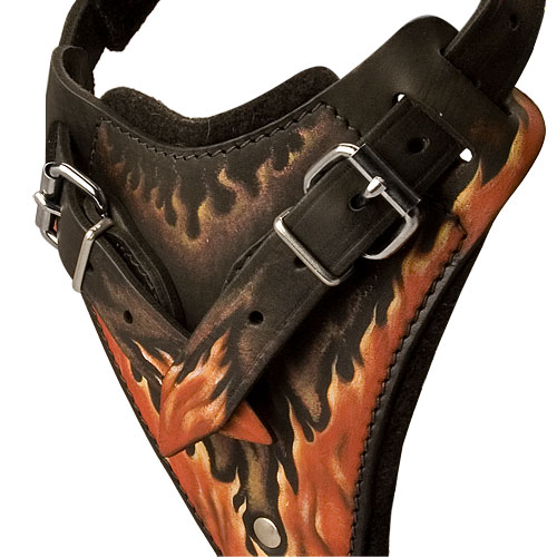 best designer custom leather dog harness