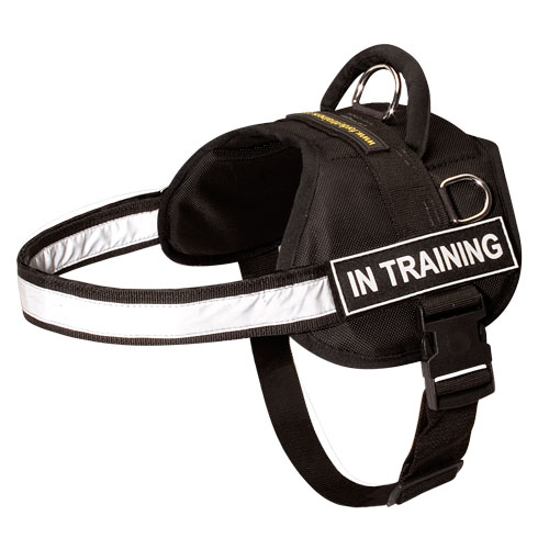 French Bulldog Harness Nylon