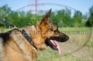 Braided Dog Collar for German Shepherd