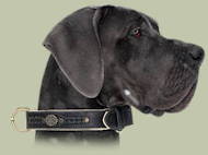 Exklusives Hundehalsband Leder für Deutsche Dogge - zum Schließen ins Bild klicken
