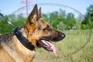 Classical German Shepherd Leather Dog Collar