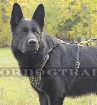 Leather dog harness for German Shepherd