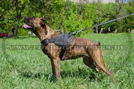 Deutscher Boxer Nylon Hundegeschirr