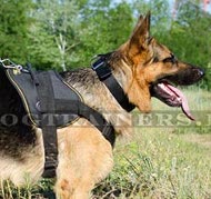 German Shepherd Dog Harness of Nylon