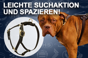 Hundegeschirr aus Leder