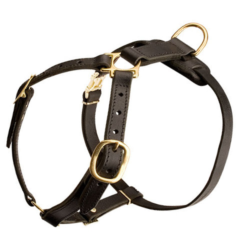 Luxury Leather Dog Harness