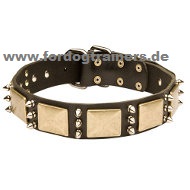Studded Leather Dog Collar with Plates and Spikes