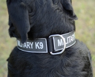 Halsband oder Logohalsband | Nylonhalsband für Rottweiler