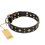 Hundehalsband Schwarz "A La Mode" FDT Artisan