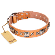 Hellbraunes Hundehalsband "Silver Chic" FDT Artisan Hellbraunes Hundehalsband "Silver Chic" FDT Artisan