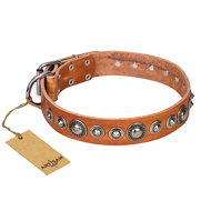Hochwertiges Hundehalsband mit Nieten "Daily Chic" FDT Artisan Hochwertiges Hundehalsband mit Nieten "Daily Chic" FDT Artisan