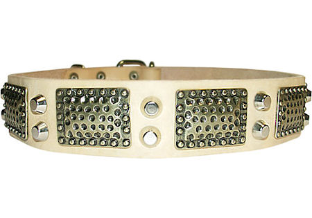 Perfect Leather Dog Collar with vintage plates and pyramids - Click Image to Close