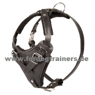 Leather Dog Harness 25% OFF