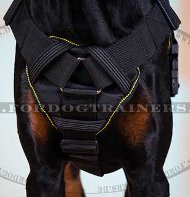 Harness Nylon Doberman K9 for Sport