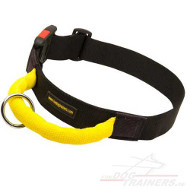 Nylon-Hundehalsband mit Griff fürs Training