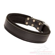 Modern Padded Collar with Felt, 40 mm