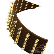 /images/Hunde-Halsband-Leder-Goldfarbigen-Spikes-Extra-Breit.jpg