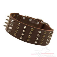 /images/Hunde-Halsband-Leder-Nieten-Spikes-Extra-Breit.jpg