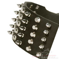 /images/Hunde-Halsband-Leder-Pyramiden-Spikes-Extra-Breit.jpg