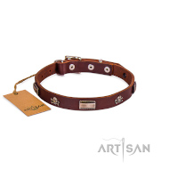 Leder Hundehalsband "Piraten" Design in gesettigtem Braun für Gassi